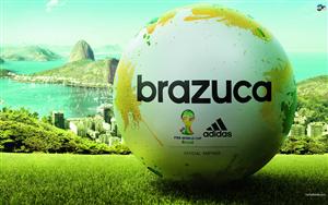 FIFA World Cup 2014